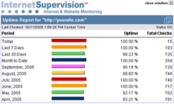 Website Uptime Report